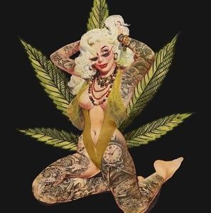 Meet your Posher, Erica